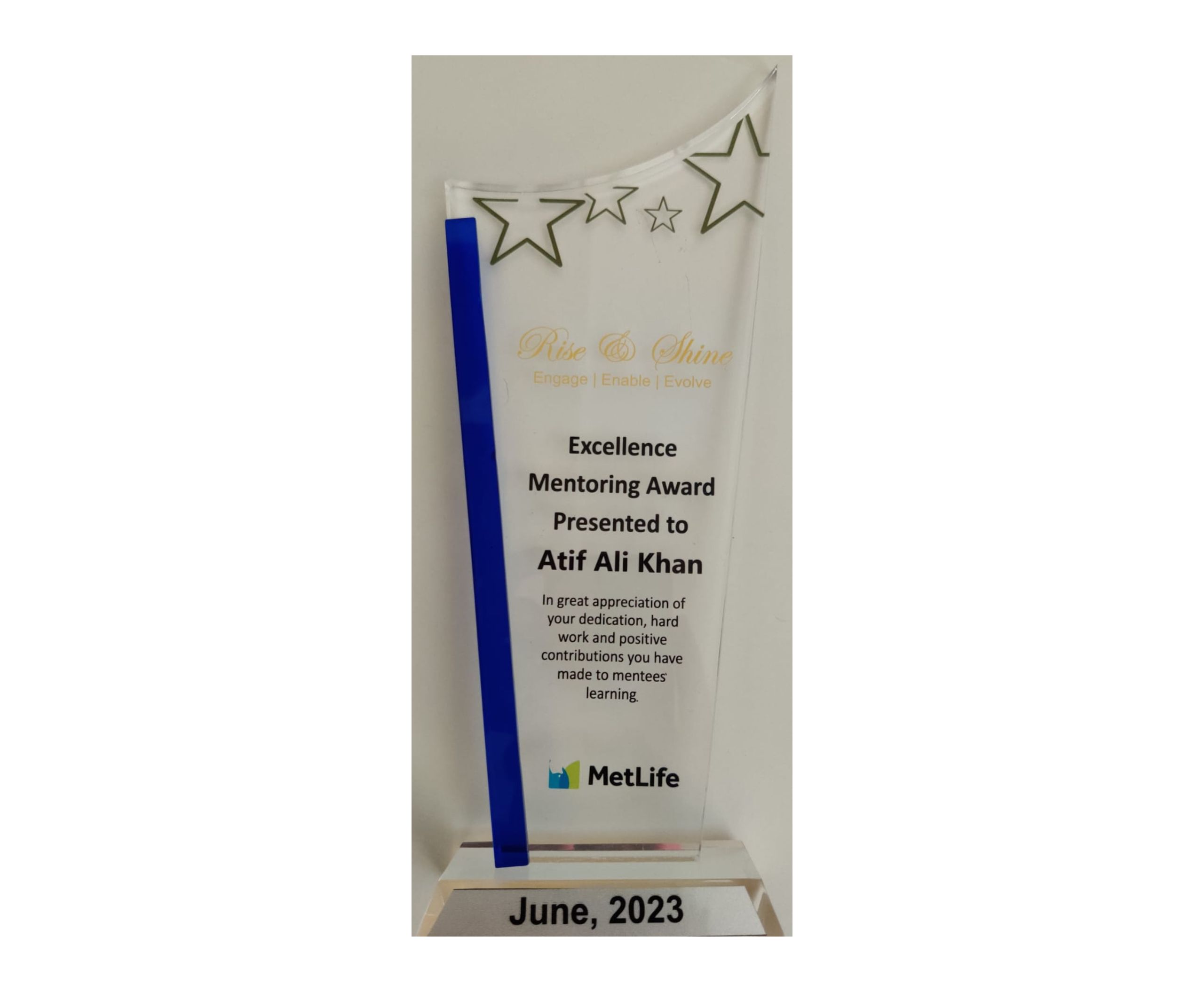 Executive Mentorship Programs